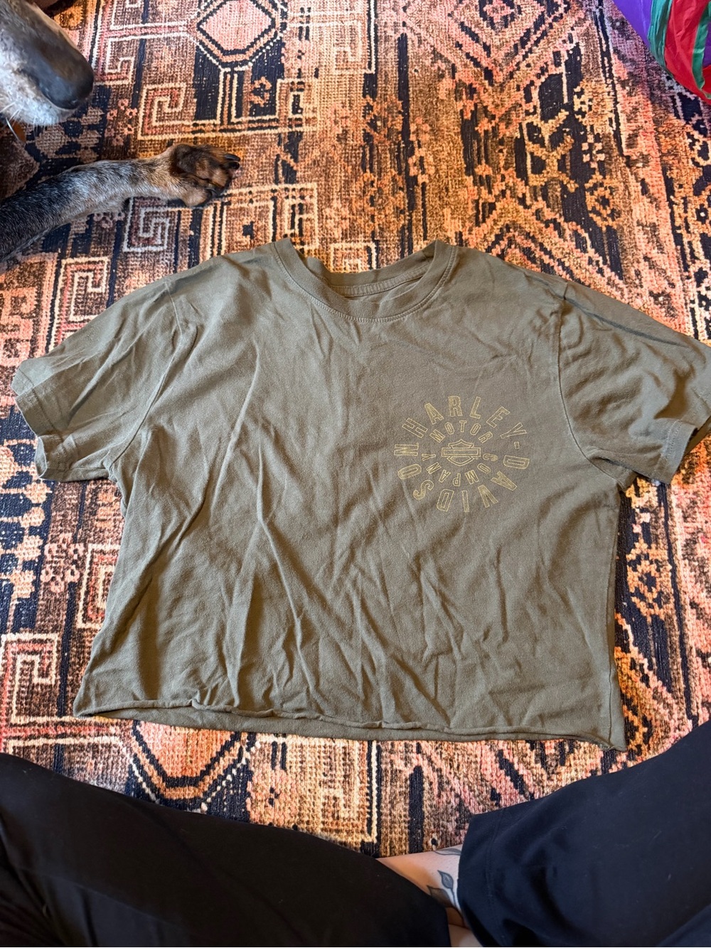 Women’s Harley Davidson shirt